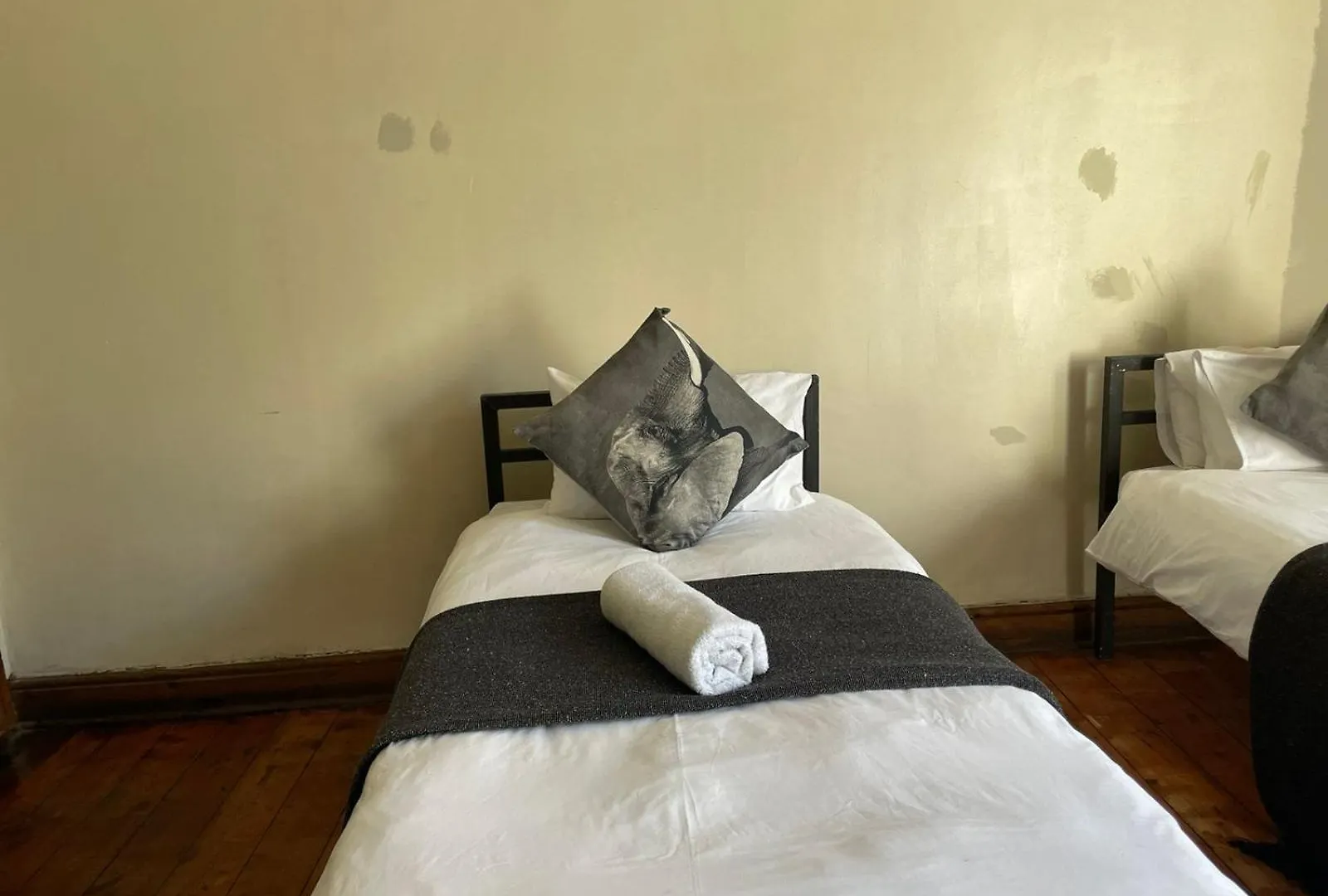 Cheeky Cheetah Hotel Cape Town